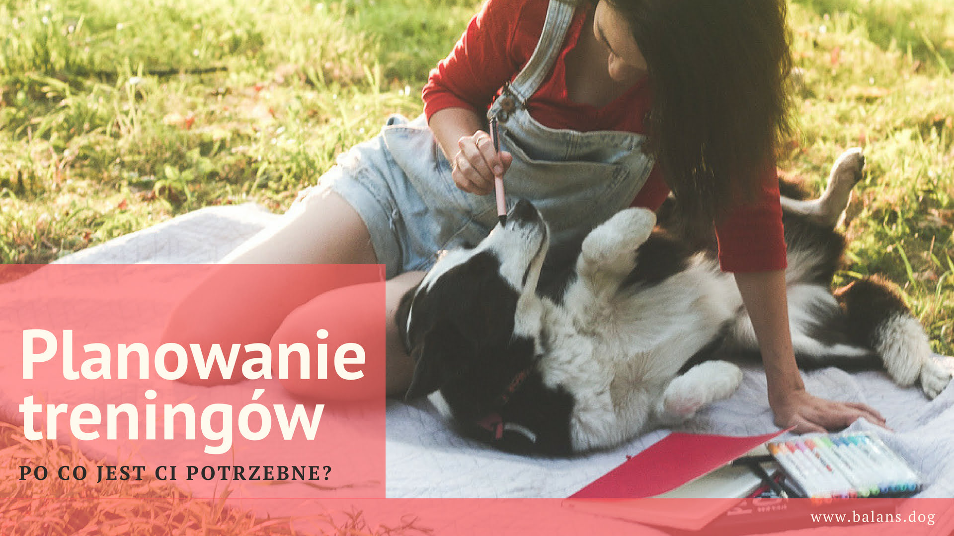 Po co Ci dziennik treningowy? Planowanie treningów z psem.