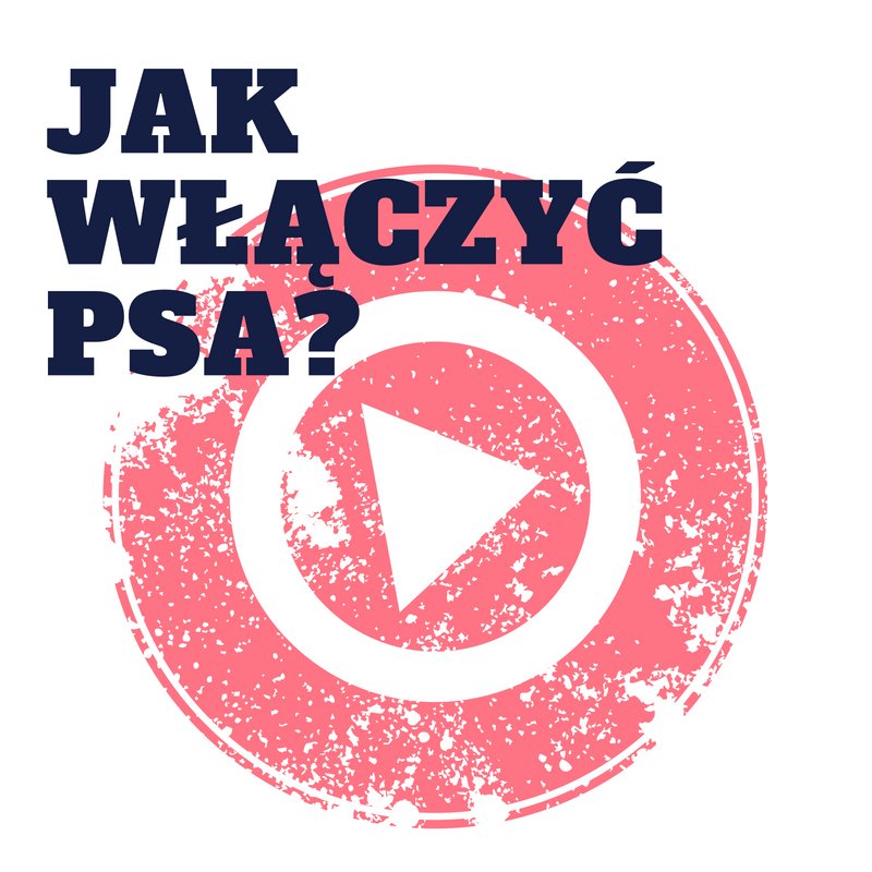 Jak włączyć psa w zabawę? 8 sposobów na większe zaangażowanie.