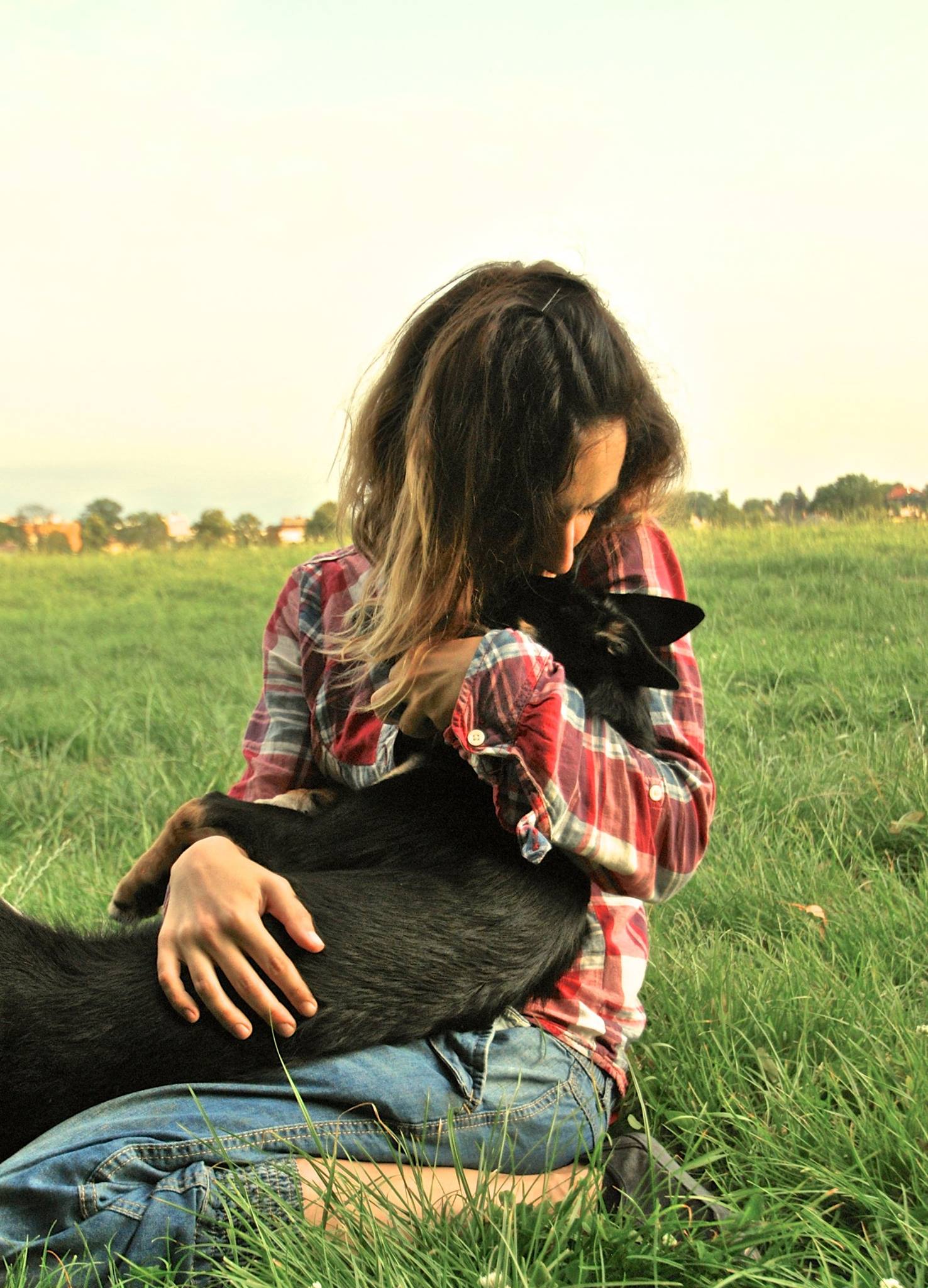 Kiedy zacząć pracę z psem? Kiedy zabrać szczeniaka na zajęcia do trenera psów?