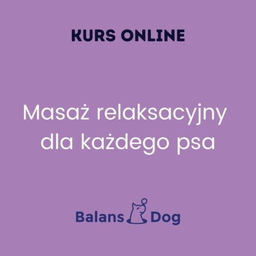 Masaż relaksacyjny psa - kurs online z mini ebookiem