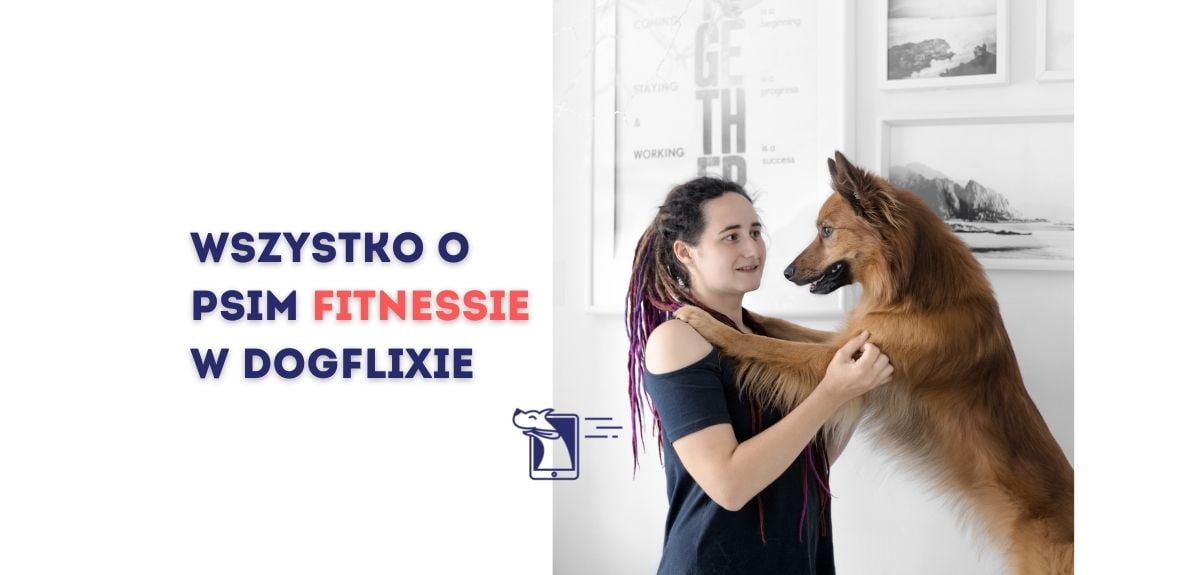 Wszystko o psim fitnessie w Dogflixie