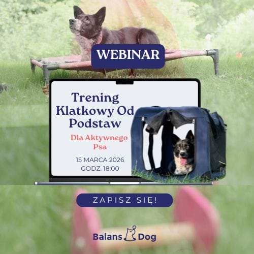 WEBINAR: Trening klatkowy dla aktywnych psów
