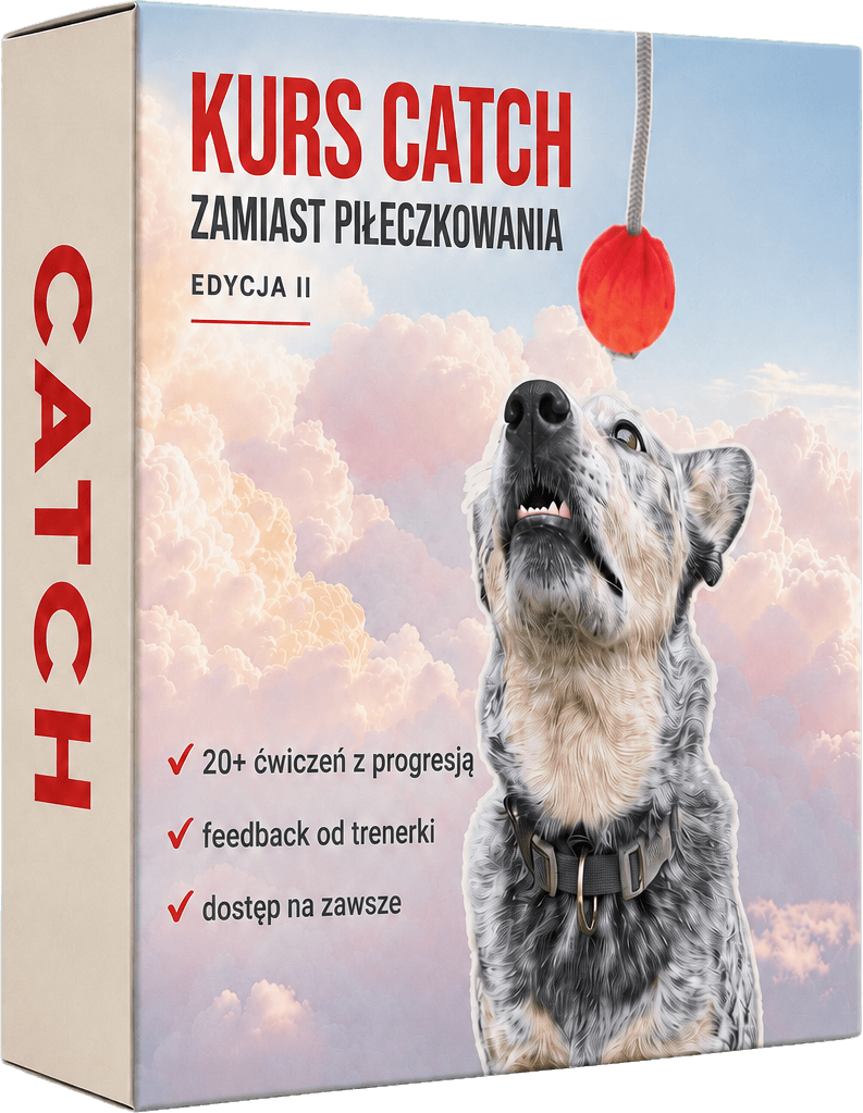 Kurs Catch – Zamiast Piłeczkowania, edycja II